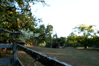 L1070040