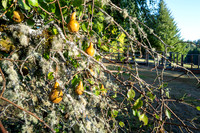 L1070054