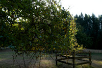 L1070061