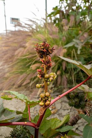 L1060296_v1