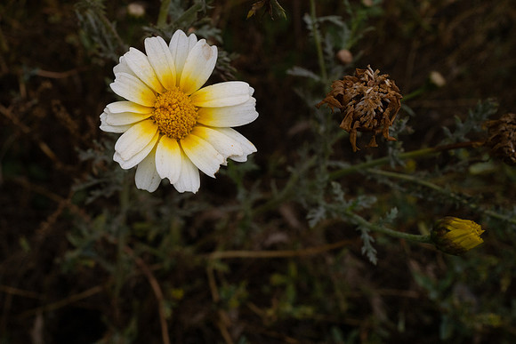 L1060280_v1