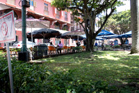 P1050461