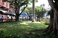 P1050462