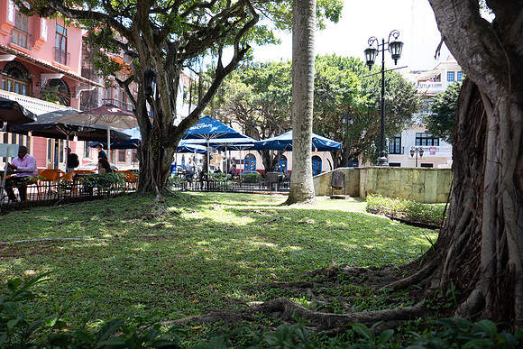 P1050462