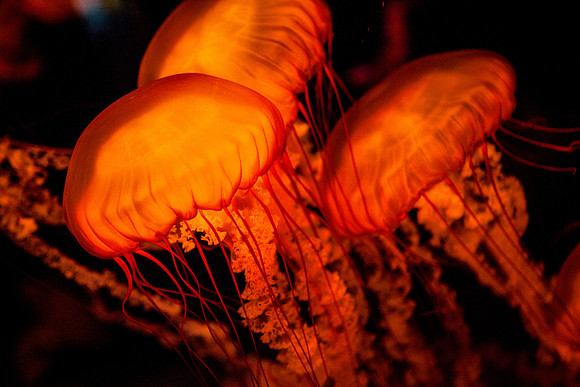 IMG_2149-Edit