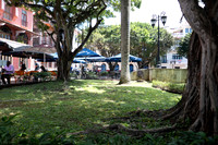 P1050463
