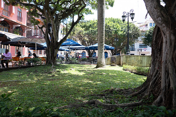 P1050463