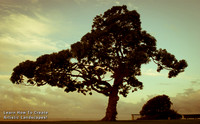 Learn How to Create Artistic  Landscapes with Vin Weathermon