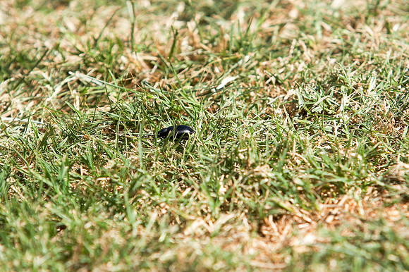 2008-05-17AtharGrad-0059