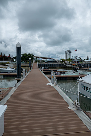 P1050519
