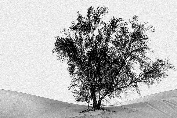 20140202-_INW6088.1